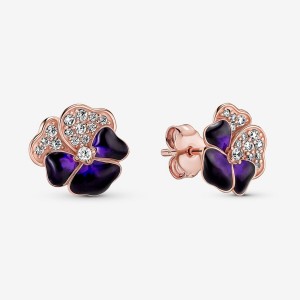 Rose Gold Plated Pandora Deep Purple Pansy Flowers Stud Earrings | 809-NDLGQO
