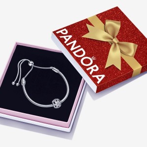 Sterling Silver Pandora Sparkling Herbarium Gift Set Charm Bracelets | 932-SAVZYP