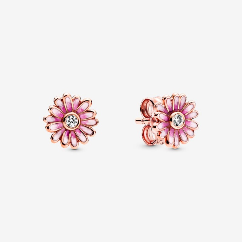 Rose Gold Plated Pandora Pink Daisy Flowers Stud Earrings | 698-IABGWQ