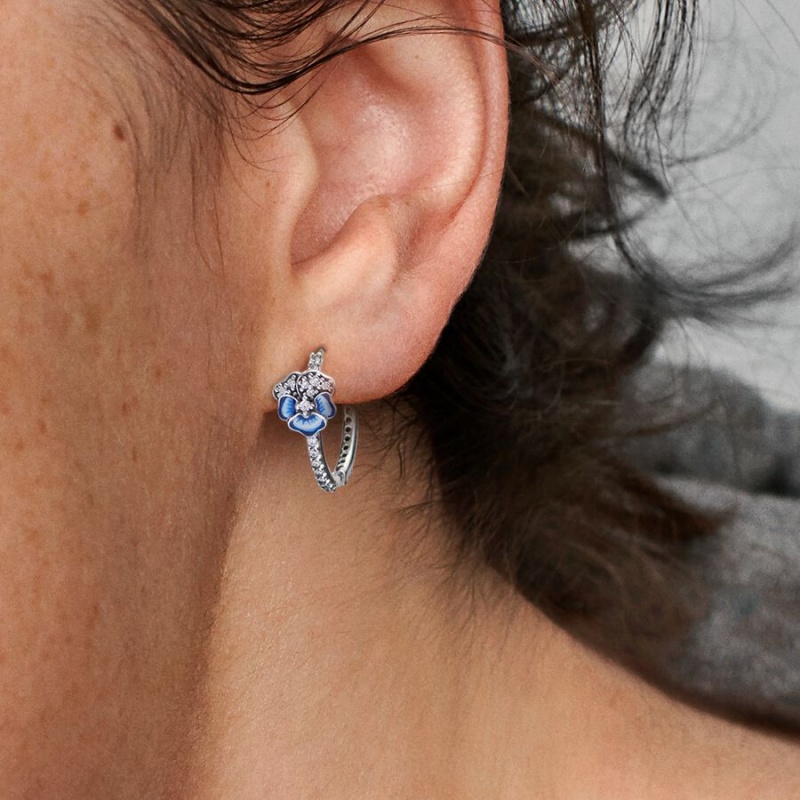 Sterling Silver Pandora Blue Pansy Flower Hoop Earrings | 702-SXWTHQ