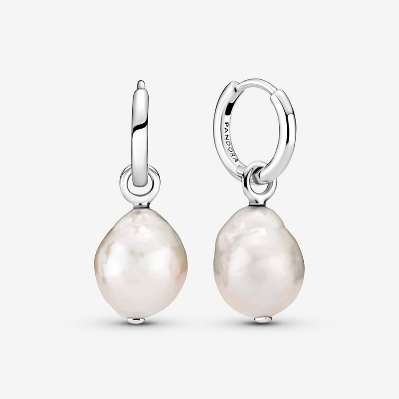 Sterling Silver Pandora Drop Earrings | 372-KIHTGW